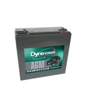 Baterie AGM DYNO 12V 26.4Ah/C20, 22.6Ah/C5