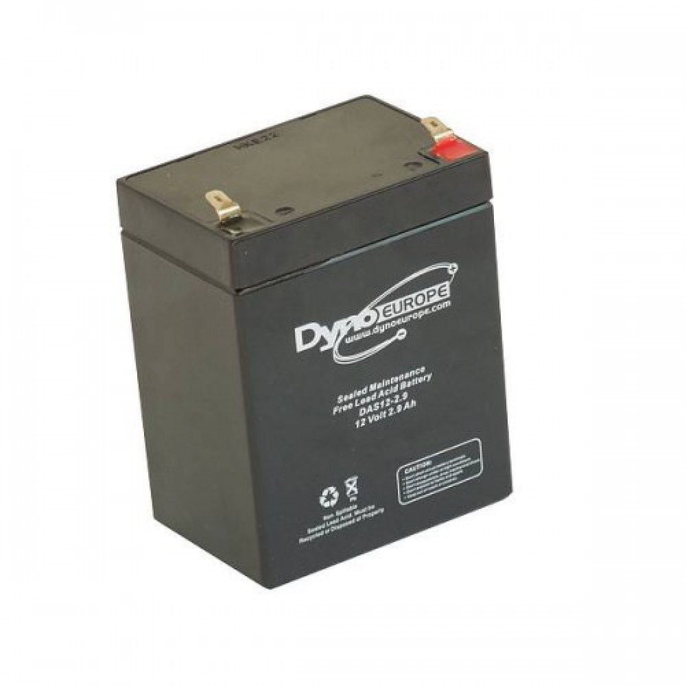 Baterie AGM DYNO 12V 2.9Ah/C20, 2.5/C5